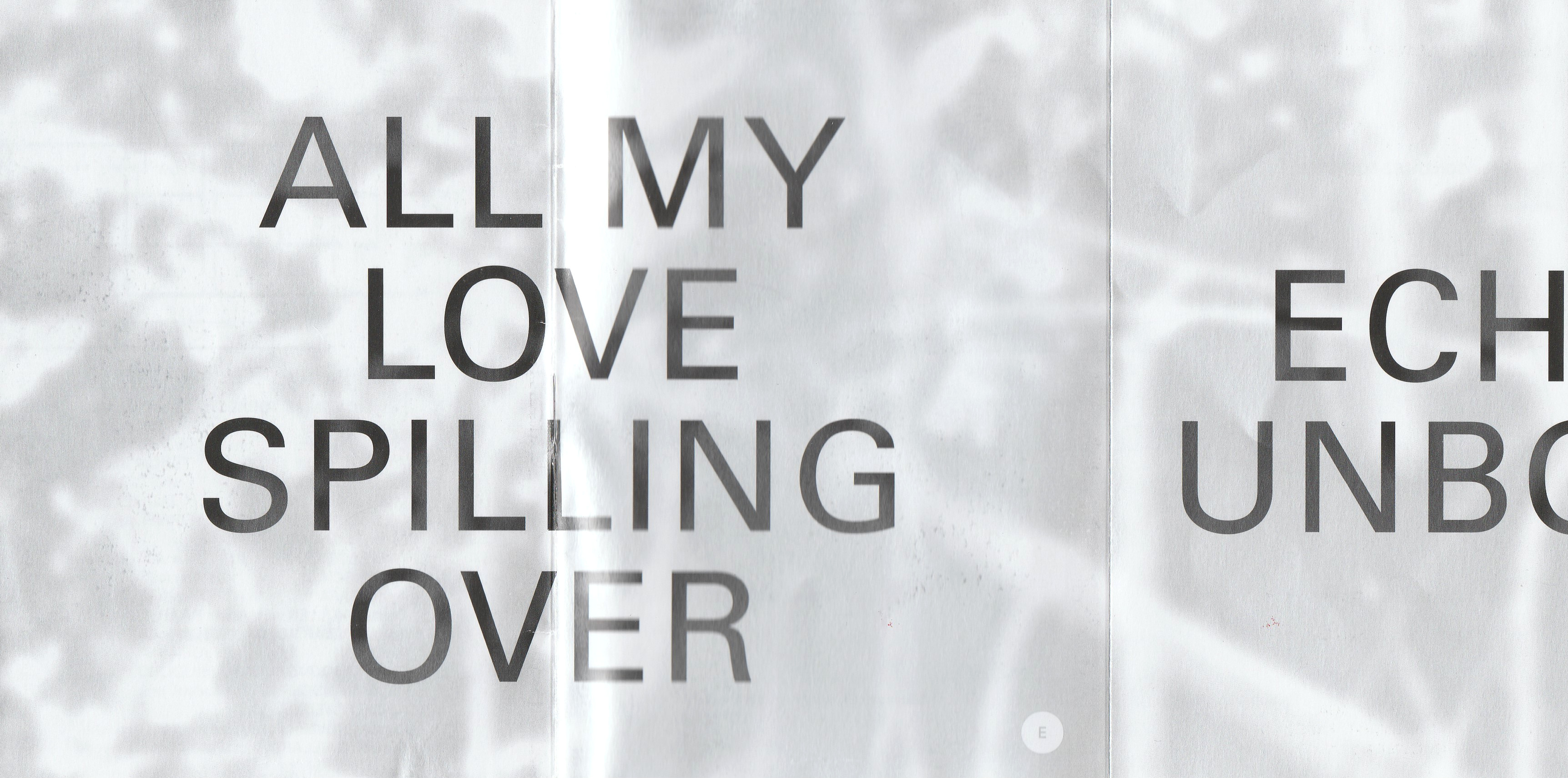 丨瑞士丨艺术家,策展人,科学家等多方人员-25