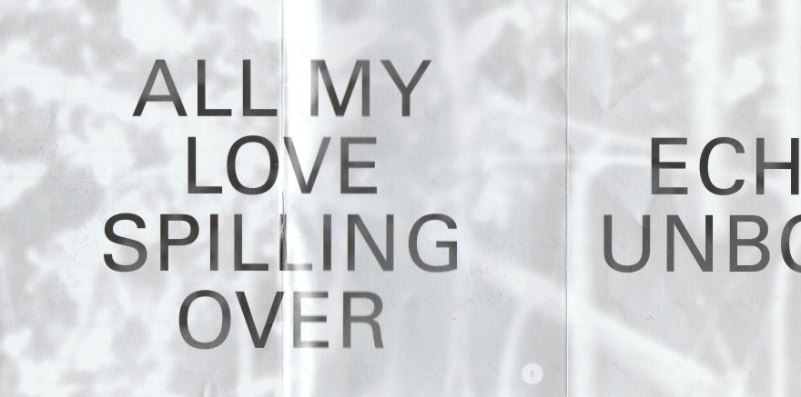 丨瑞士丨艺术家,策展人,科学家等多方人员-25