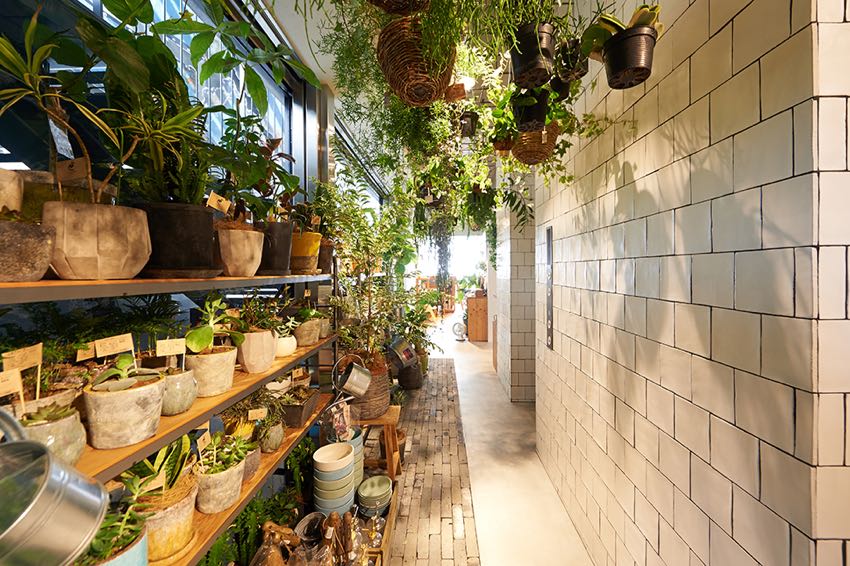 日本 ELD 原木风家具门市的温馨设计亮点-12