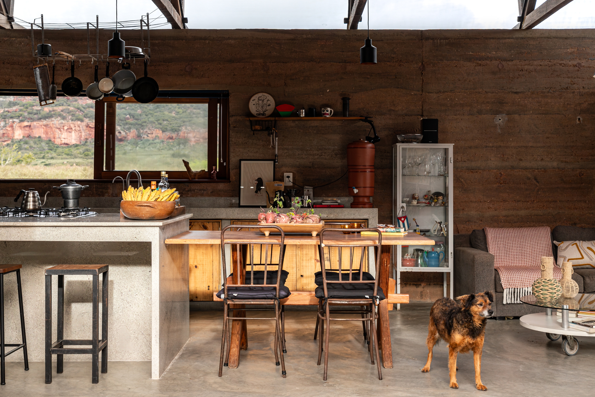 丨巴西伯南布哥丨AzulPitanga-29