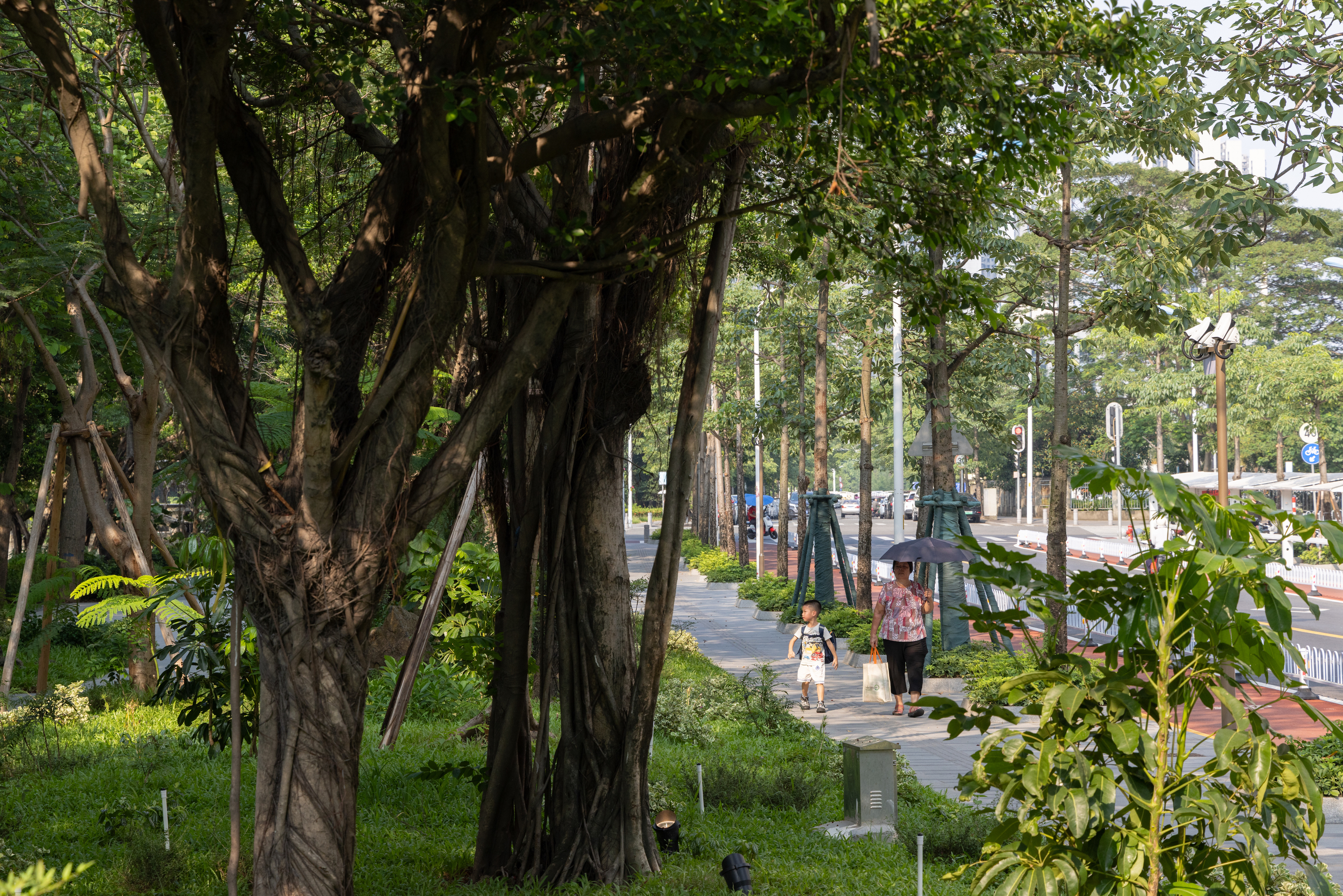 广州亚运公园丨中国运城丨广亩景观-122