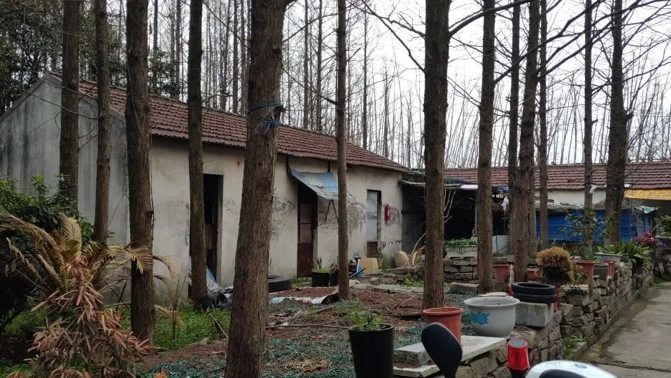 长宁环城生态公园带市民服务驿站丨中国上海丨致正建筑工作室,冶是建筑-39