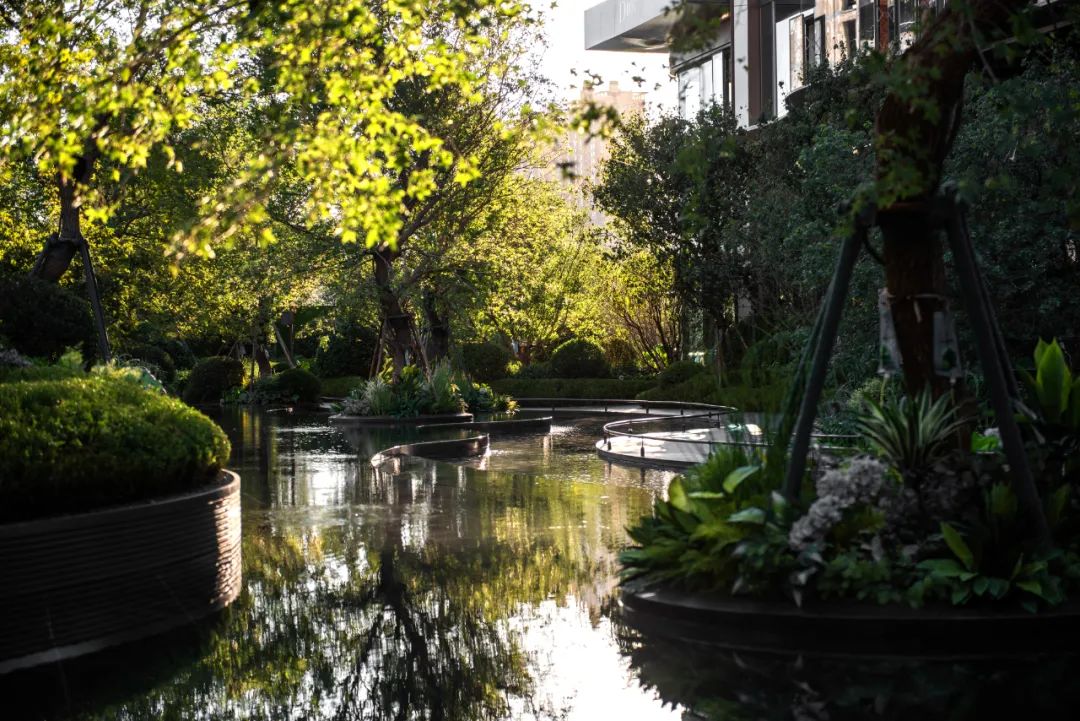 “现象级”高定豪宅·繁花奢享｜沈阳新希望D10丨中国沈阳丨广州观已景观设计有限公司-19