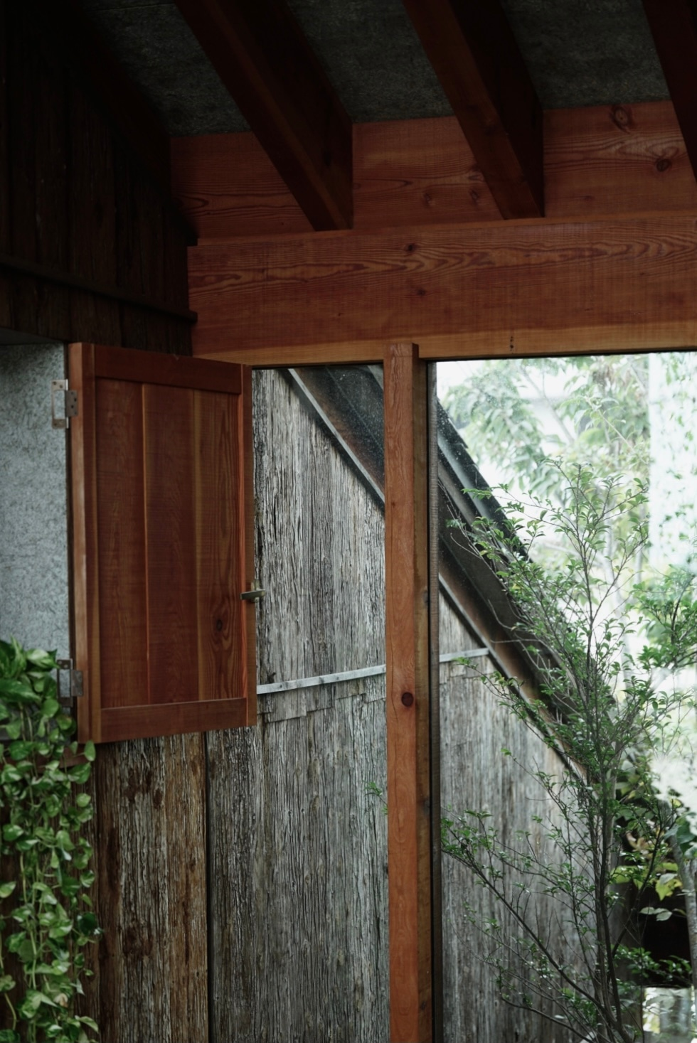 石头缝里的生机 · 大地之家的绿色创新设计-46