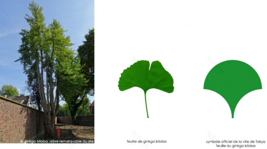 法国 Maillard 别墅-6