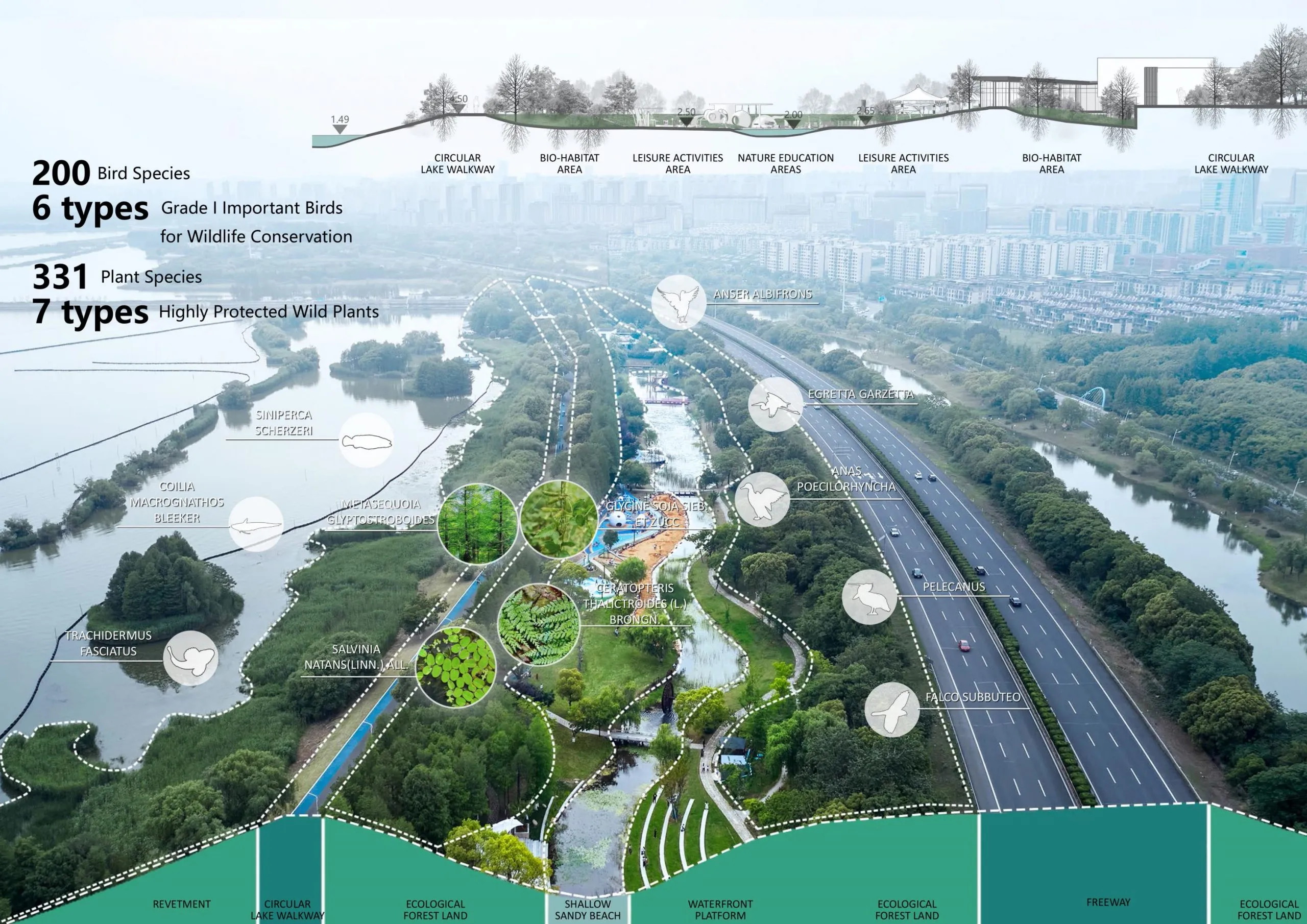 【案例分享】大溪港湖湾儿童友好湿地公园-2