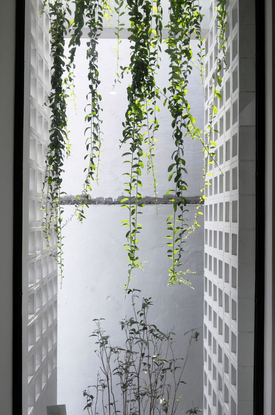 风起小屋(Maison Q)-9