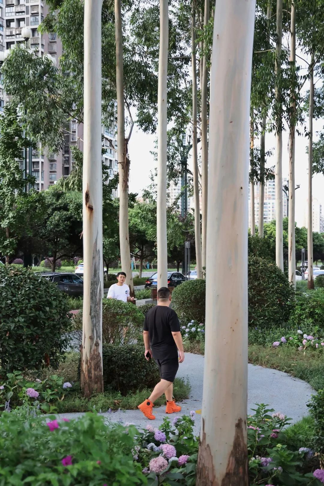 yǒu作品 |  蜀龙大道——公园城市街道一体化践行-78