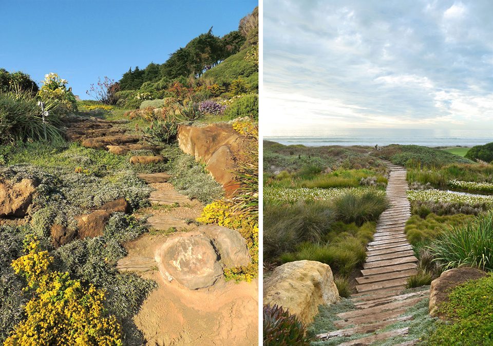 智利 Las Brisas 住宅,重构沿海别墅区的生态景观-9