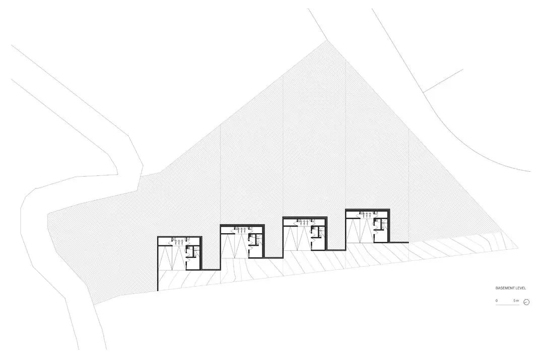 蕨类植物丨墨西哥丨Taller Hector Barroso-22