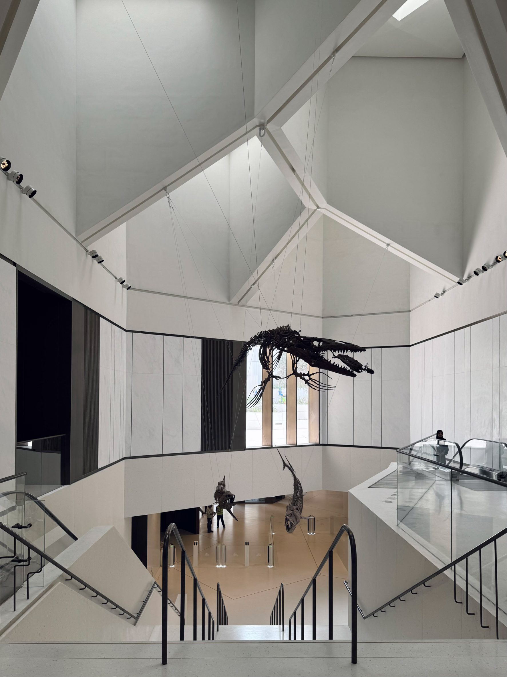 阿布扎比自然历史博物馆丨阿联酋阿布扎比丨荷兰Mecanoo建筑工作室-27