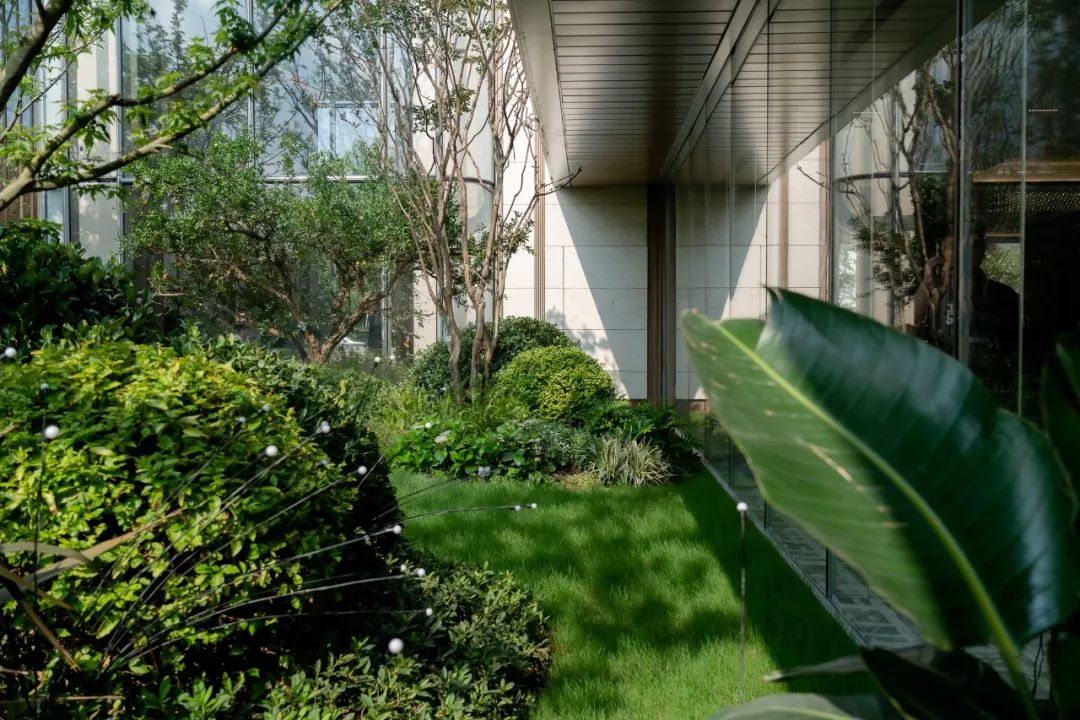 南京招商·璀璨璟园丨中国南京-97