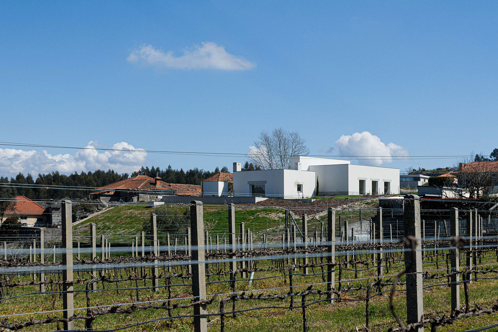 Pedrantil住宅丨葡萄牙丨Helder da Rocha Arquitectos-13