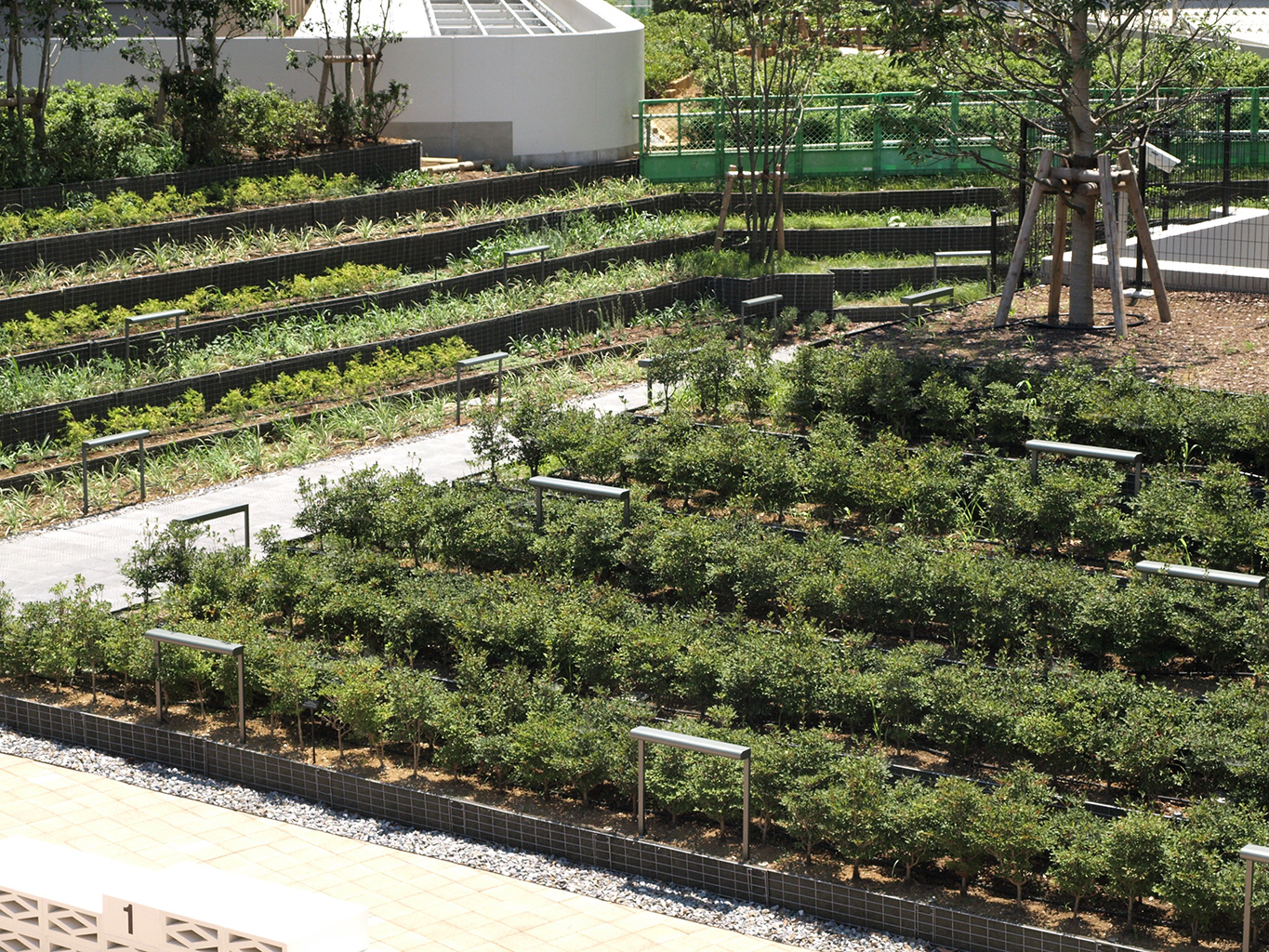 柏之叶大学城-20