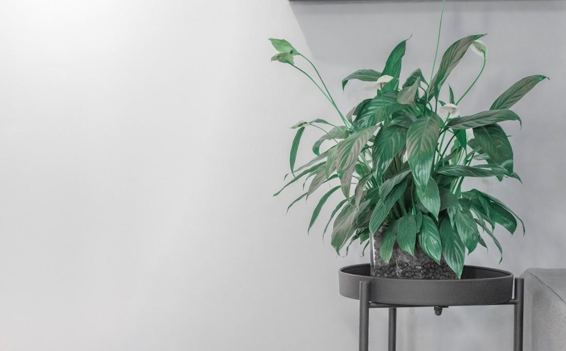 旧房翻新演绎留白艺术-19