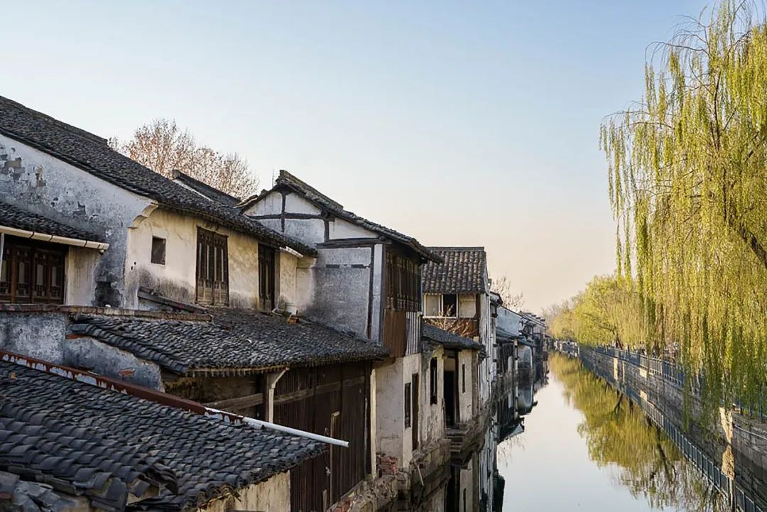 小小葵 花园西餐厅丨中国绍兴丨RBD瑞本设计-2