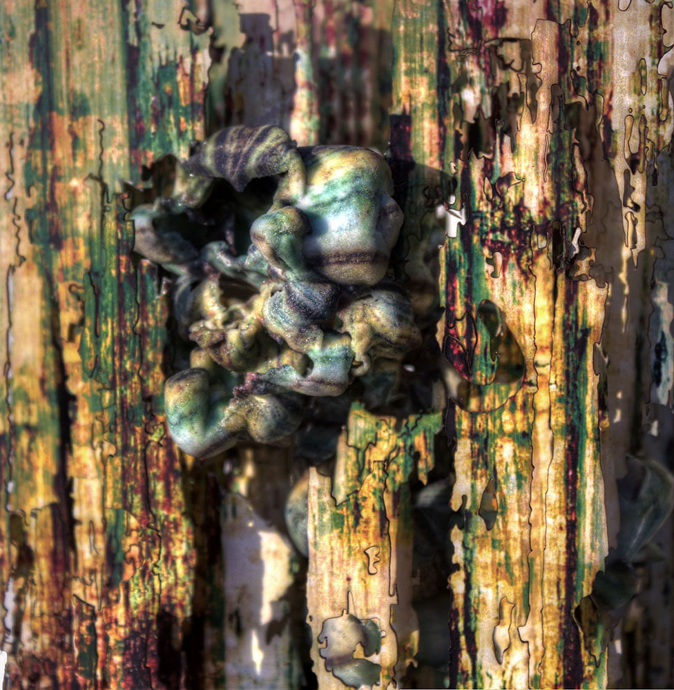 纽约中央图书馆重新设计（当代乡土风格）丨美国纽约丨Jason Orbe  Smith-29