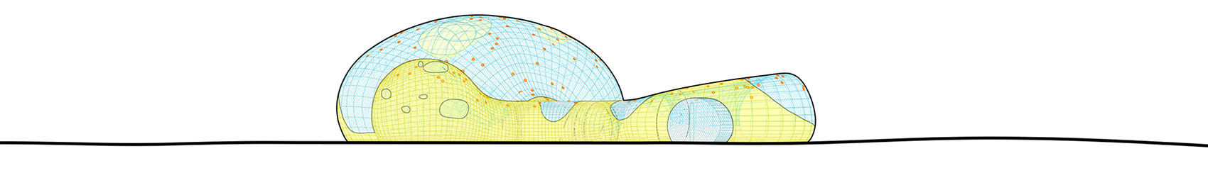 东伦敦的黄色大泡泡 / Dosis-39