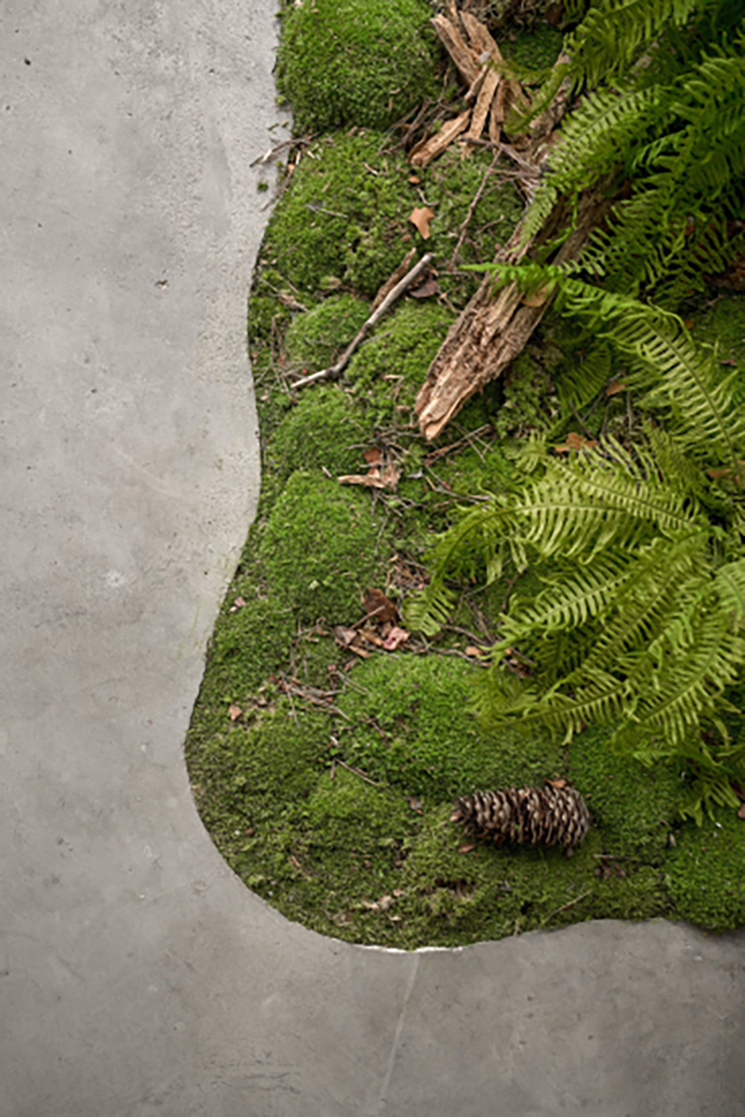 树林里的白天和黑夜概念酒吧,俄罗斯 | Space design by alinedesign studio - 酒吧餐厅 - 餐厅LOGO-VI空间设计-全球餐饮研究所-12