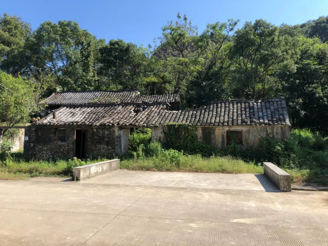 博仁设计|宁海民宿 · 漫步天地间,心驰山野林-11