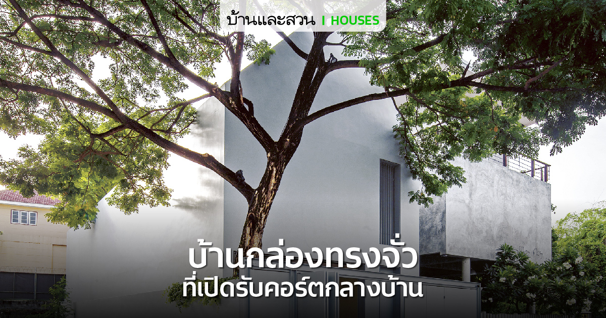 บ้านกล่องหลังคาทรงจั่ว ที่เปิดคอร์ตกลางรับพื้นที่สีเขียว - บ้านและสวน-0
