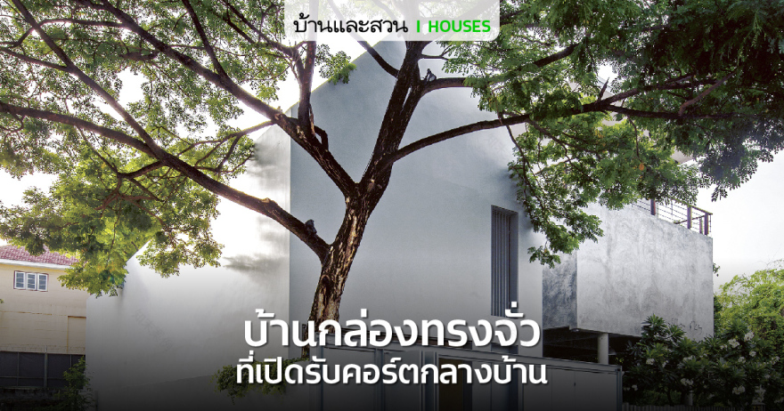บ้านกล่องหลังคาทรงจั่ว ที่เปิดคอร์ตกลางรับพื้นที่สีเขียว - บ้านและสวน-0
