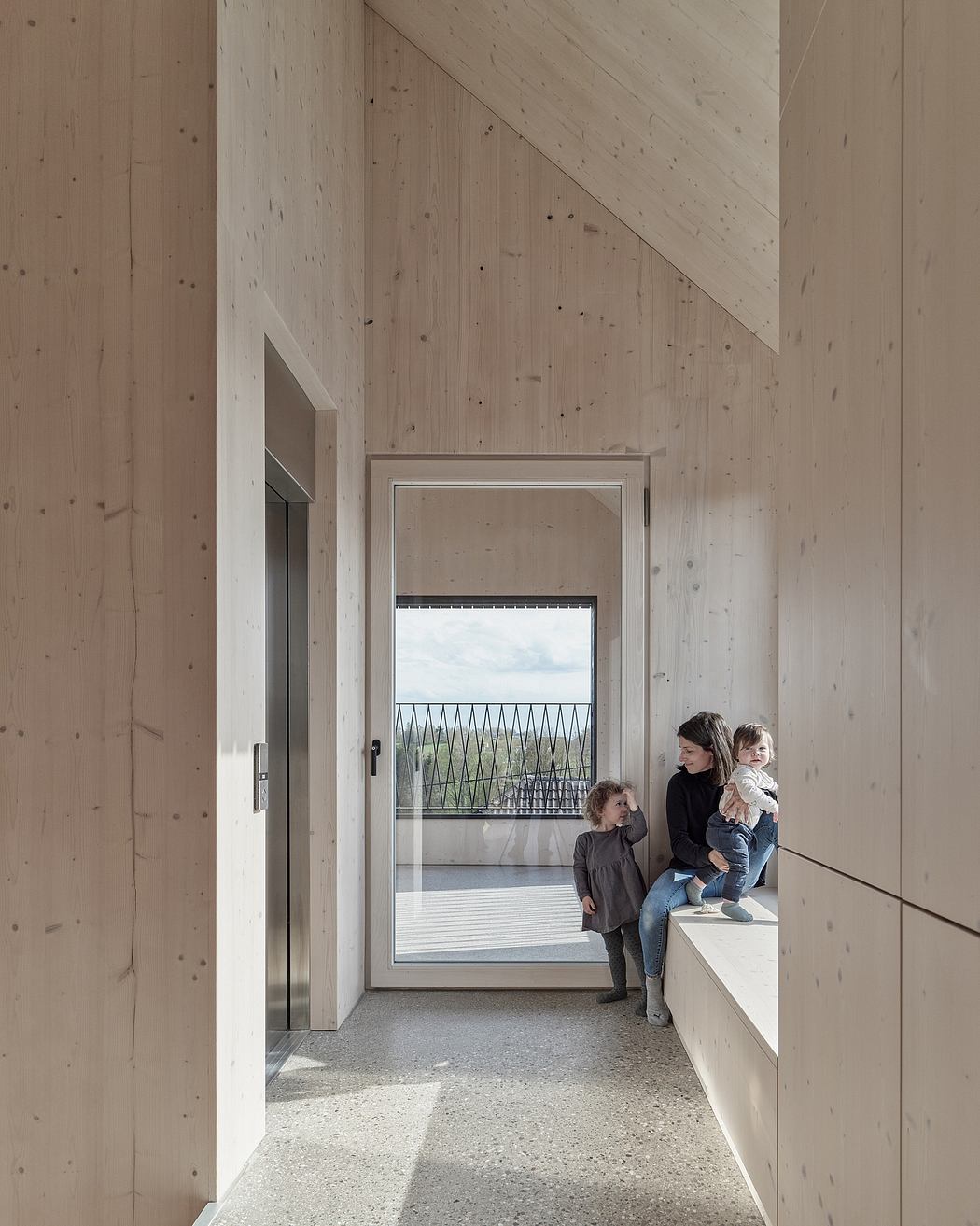 高黑屋丨奥地利丨SLP Architekten-6