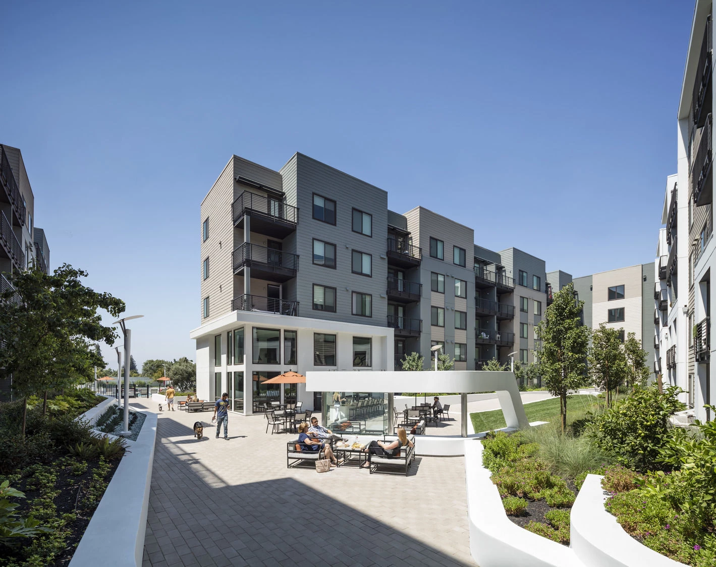 旧金山动感混合住宅设计-11