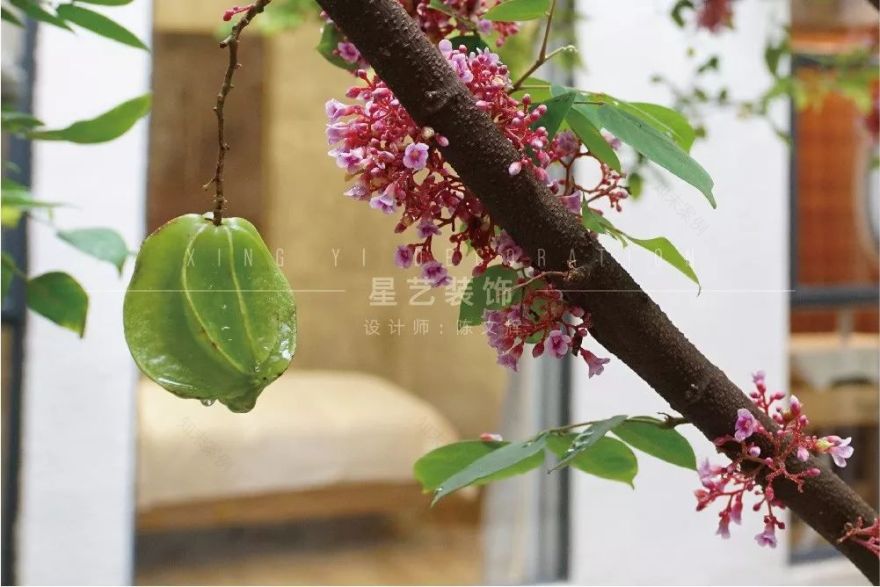 东莞新基古村 800 年老宅蜕变,现代设计融入自然古朴风-19