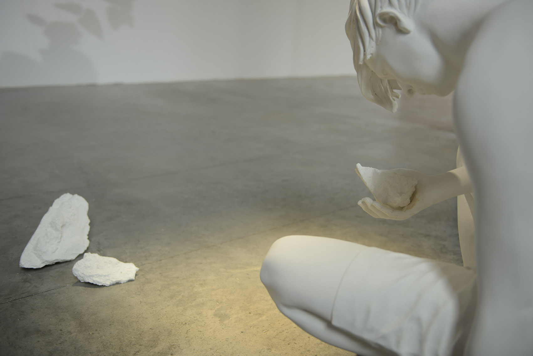 问题之马 / Claudia Fontes-19