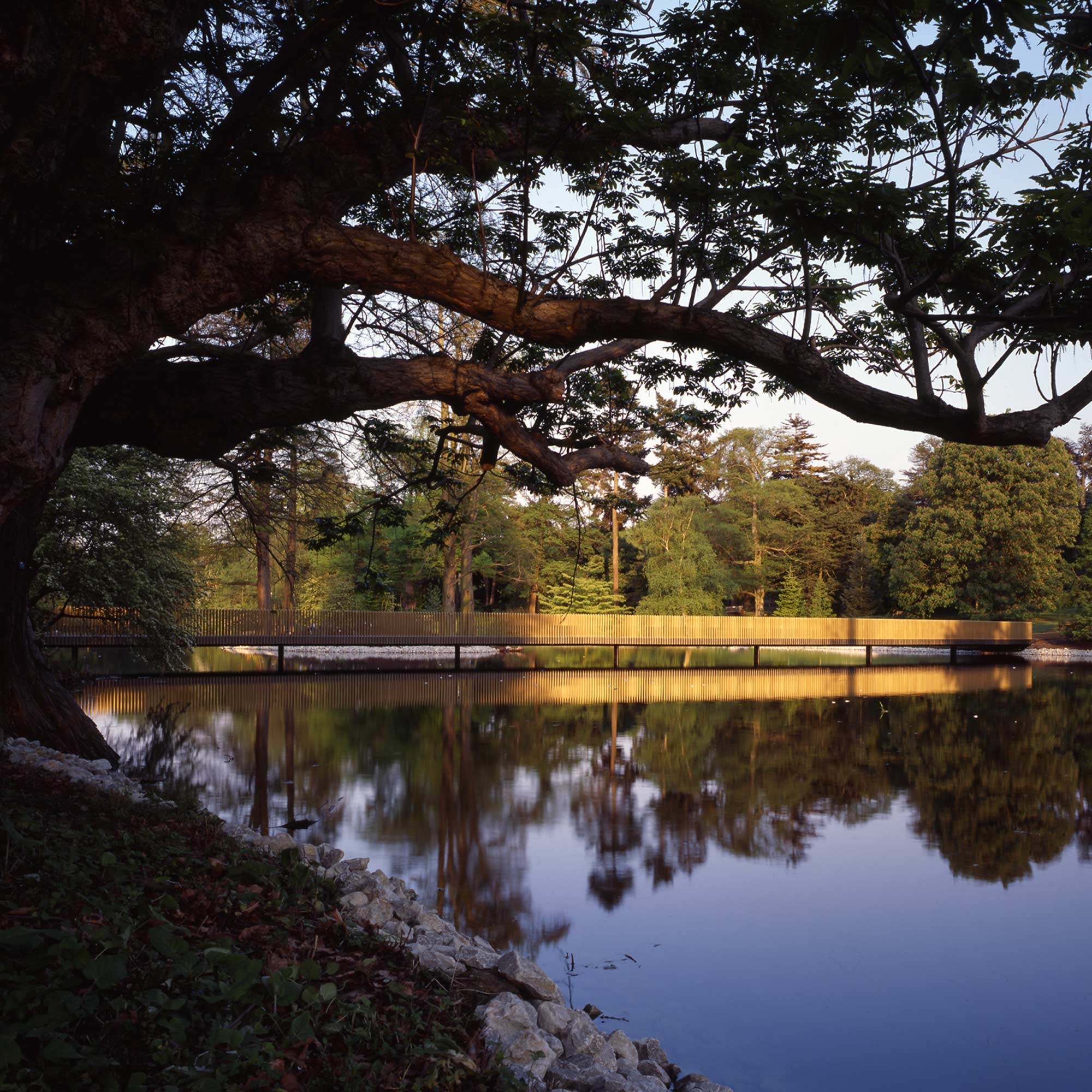 约翰·帕森 湖岸交汇处（注：Lake Crossing常见释义为湖岸交汇处 ，不过具体需结合其语境，如果是某建筑作品名等，Crossing也有穿越等意思，这里暂时按常见意思处理） 丨英国伦敦-2