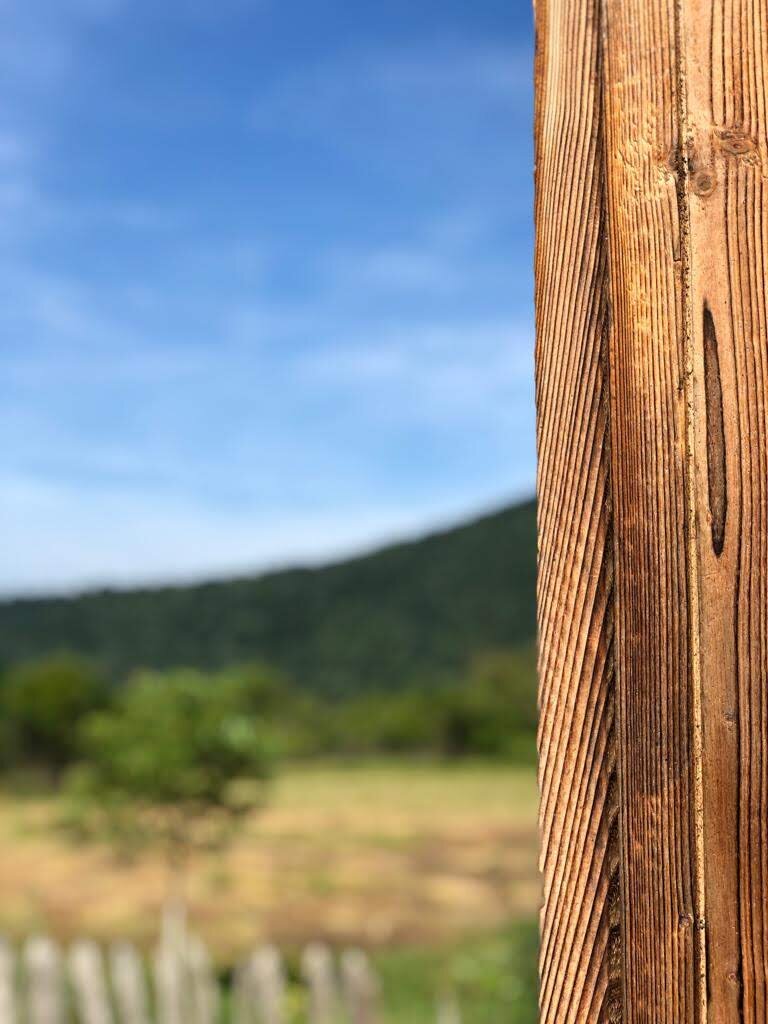 OGOI 建筑室内设计项目丨罗马尼亚丨arh. Alexandra Mihailciuc 等-35