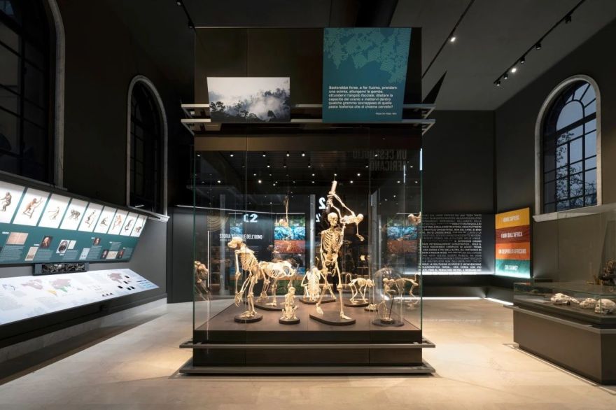 米兰自然故事博物馆(第九展厅)丨意大利米兰丨意大利 Migliore Servetto 设计工作室-15