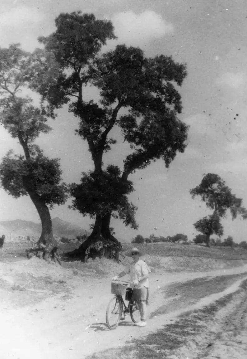 “百年中法友谊的见证者”——北林地景助力贝家花园焕新开放-8