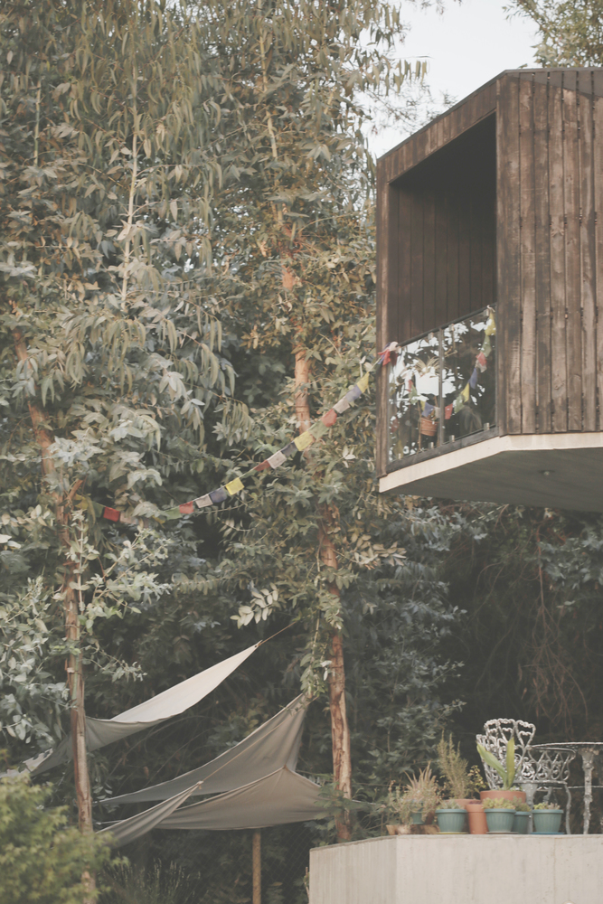 智利拉雷纳住宅-4