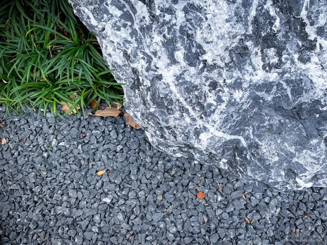 香樟树下的沪上别墅花园设计丨中国上海丨Crisscross Design-43