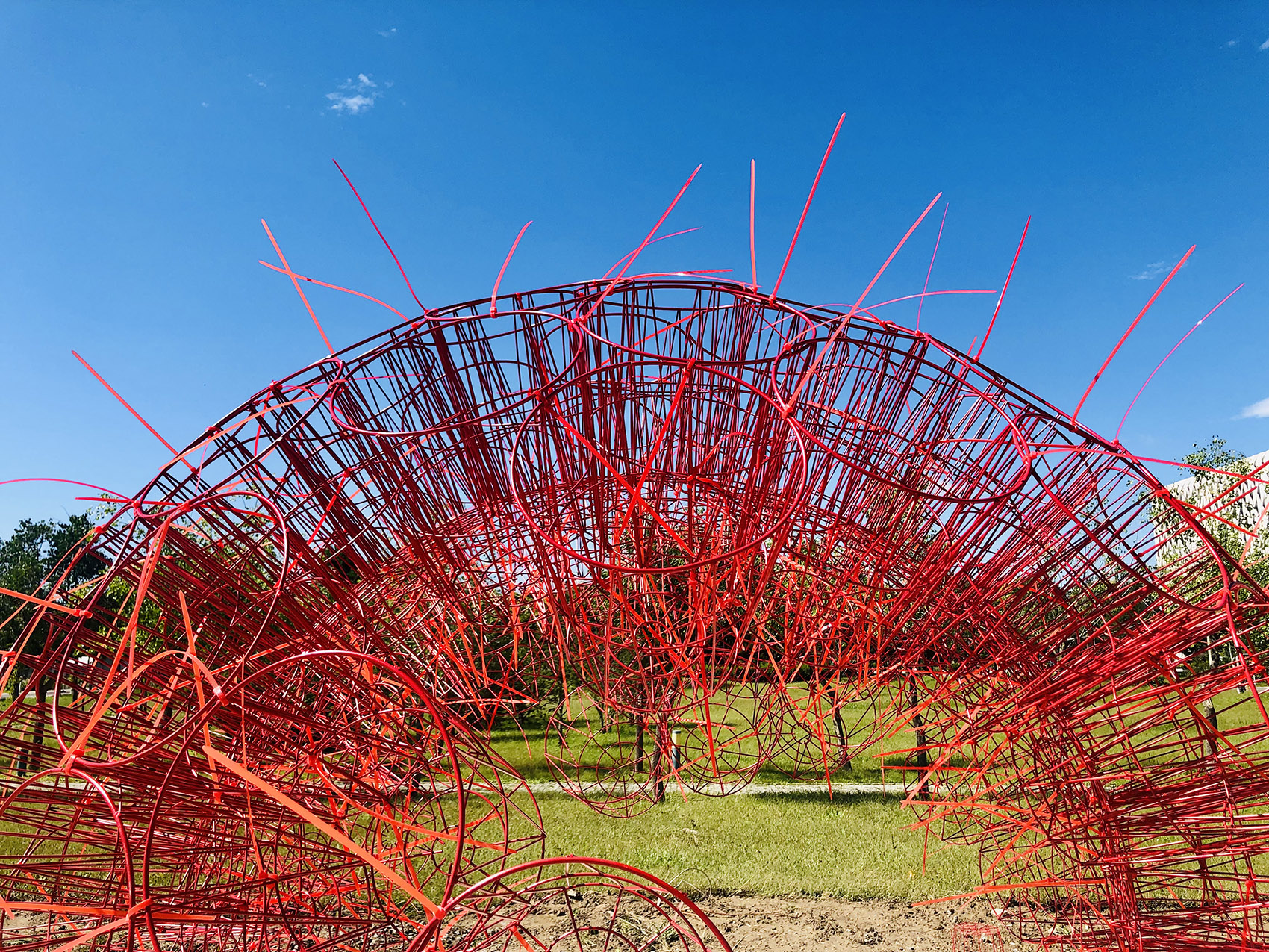 丹岩丨中国北京丨北京林业大学-36