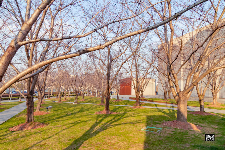龙美术馆西岸丨中国上海丨中国建筑师刘依春(Atelier Deshaus)-28