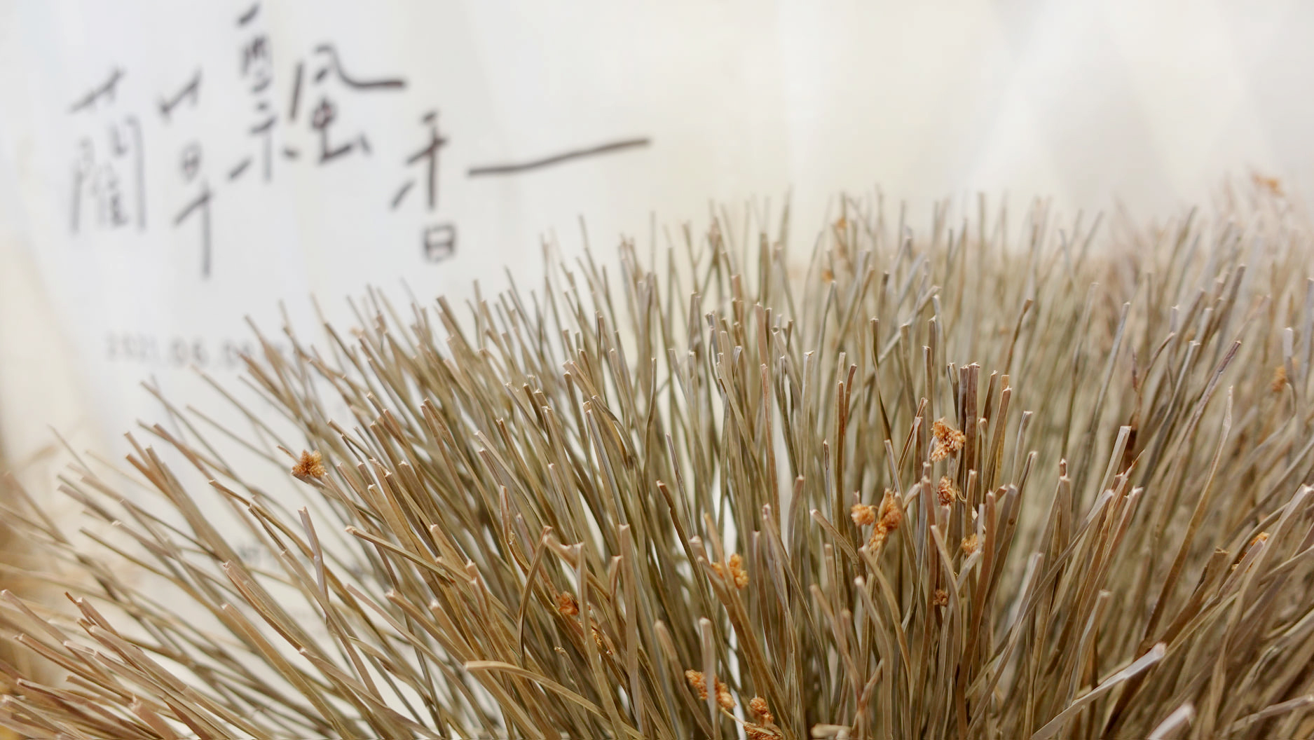 静止的工作室【蔺草飘香】│展览设计丨好位子团队-10