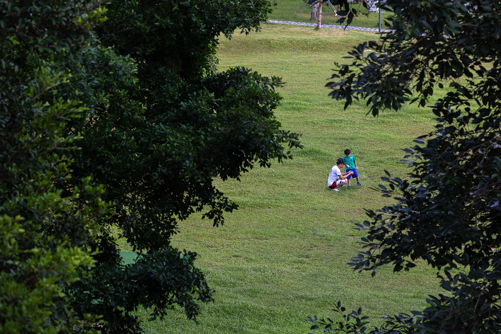 重焕生机的土地·深圳光明虹桥1958生态公园丨中国深圳丨自组空间-61