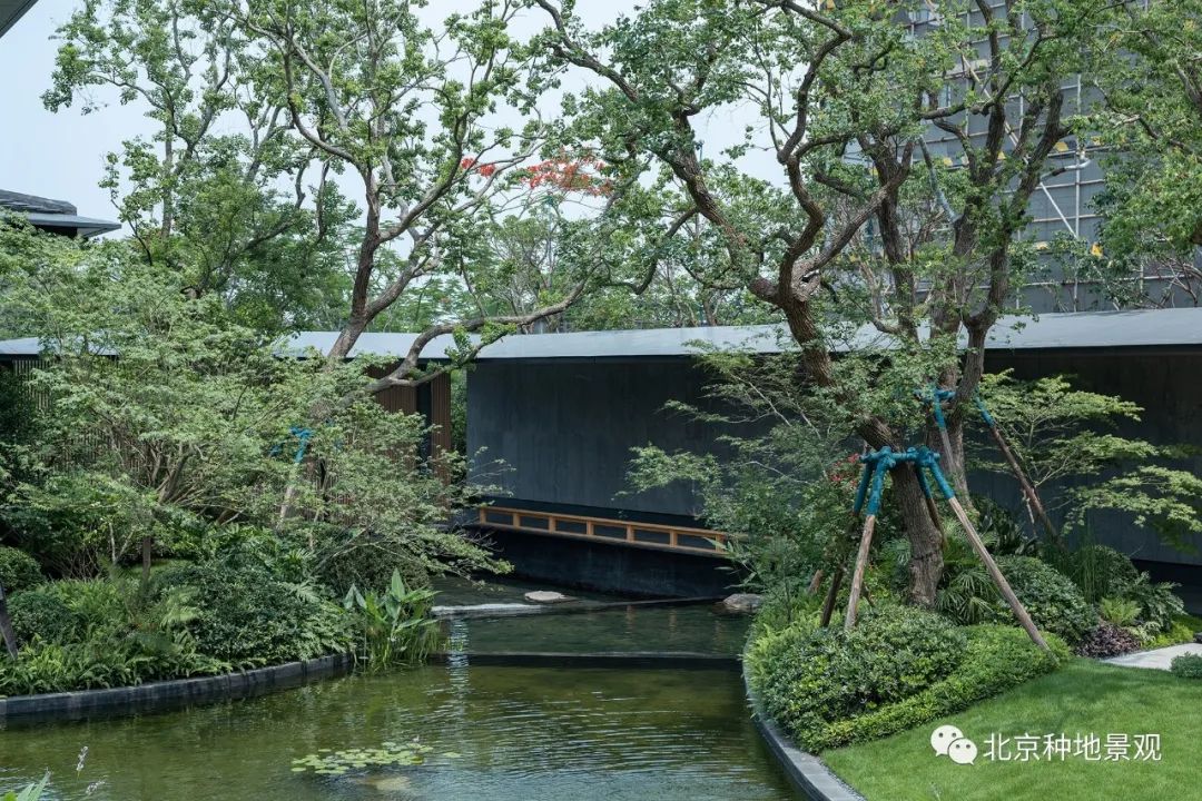 山外山外山外山 | 广州合景月养云来-33