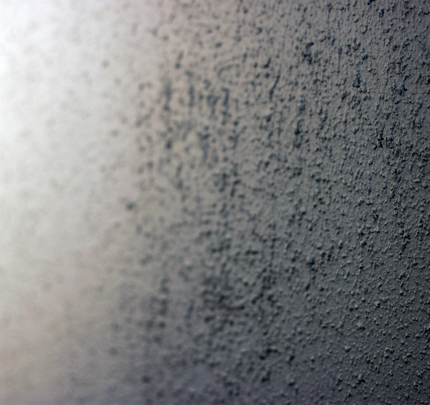 红色兔子丨澳大利亚悉尼丨aplin creative-26