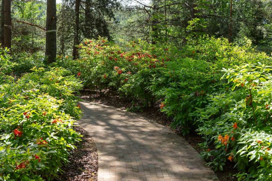 莫斯科北部童话森林湖景-23