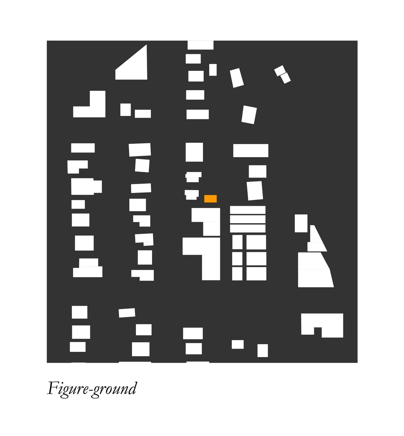 Little Tiger Chinese Immersion School-30