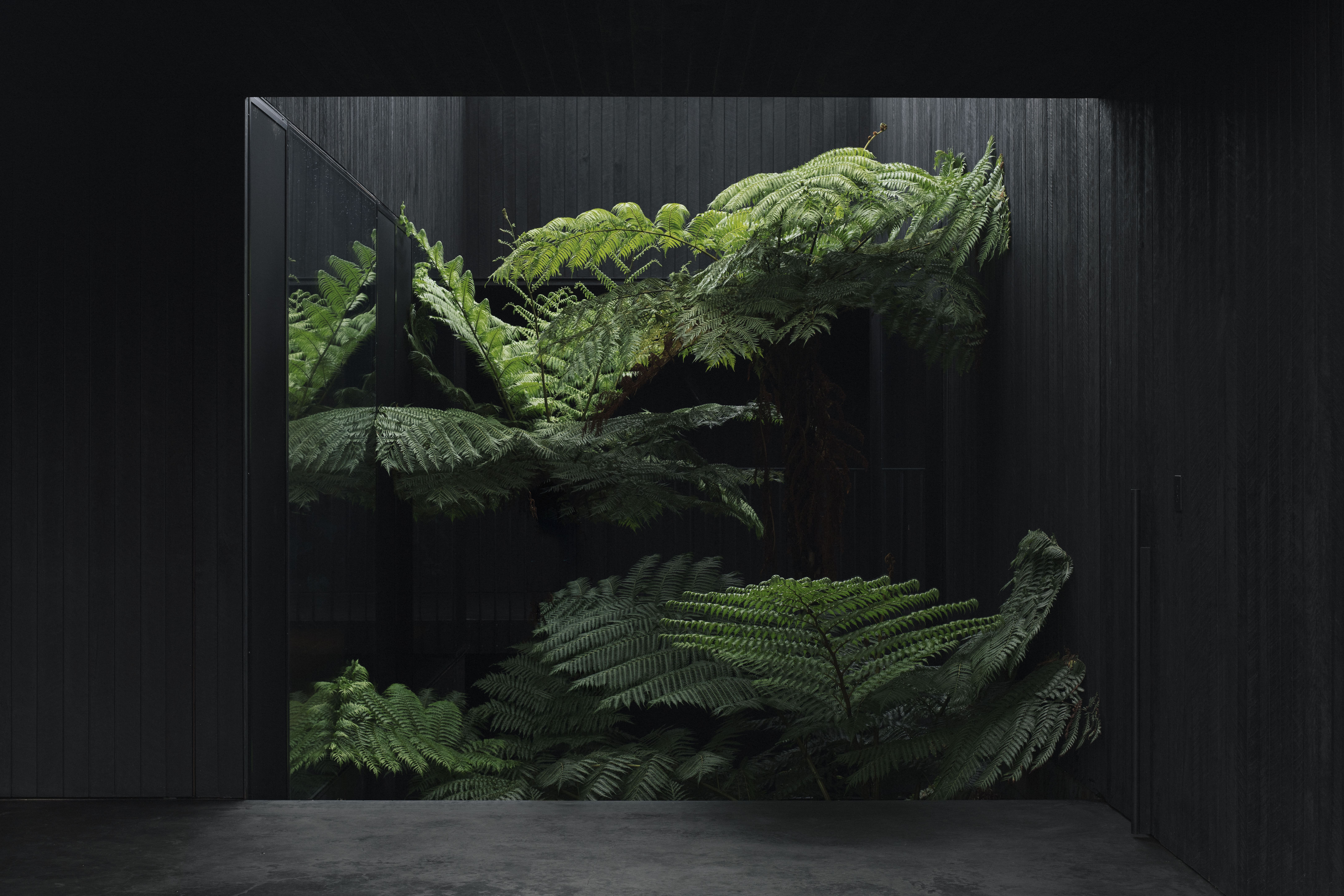 丨澳大利亚新南威尔士-17