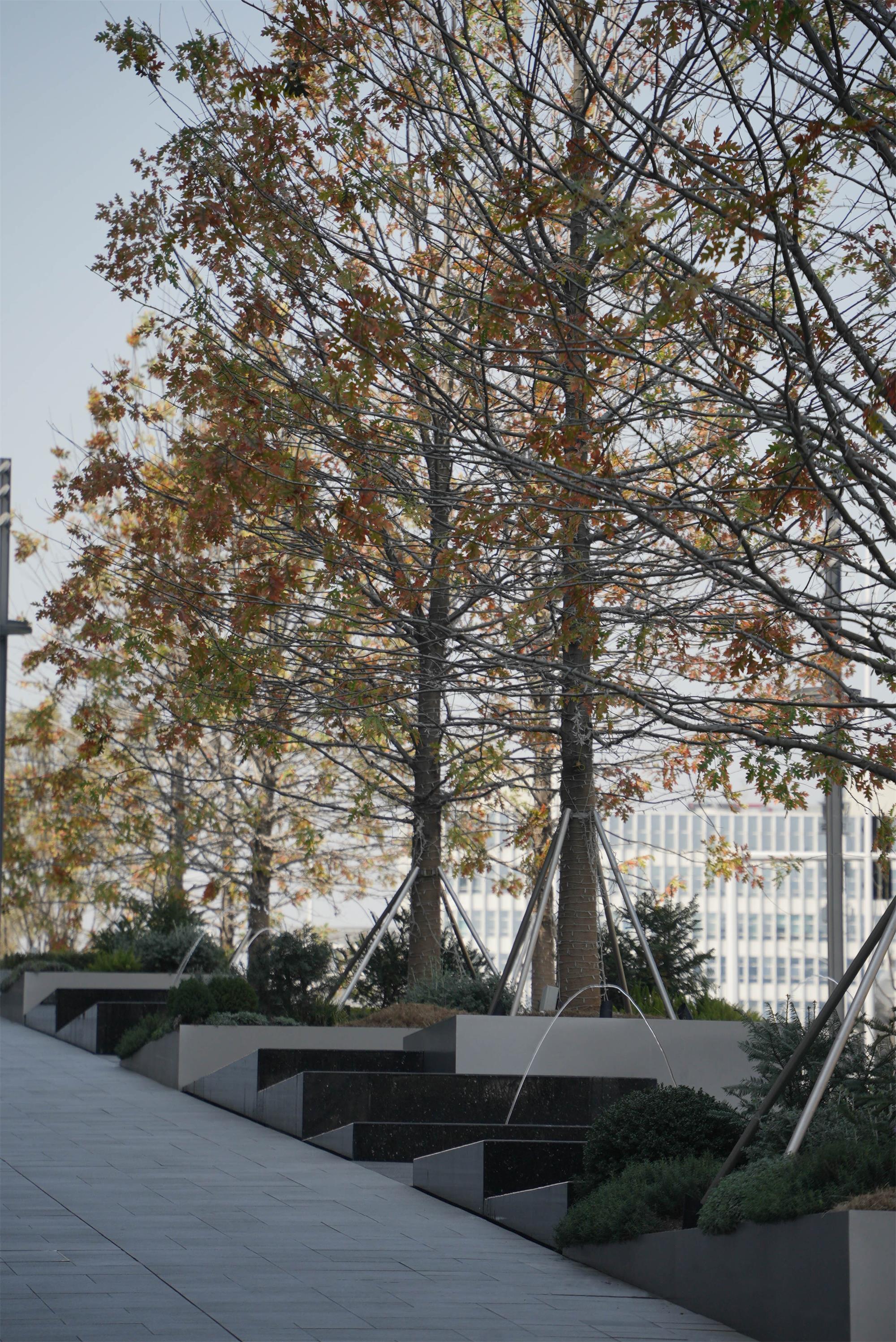 长沙万象城丨中国长沙丨MIND迈德景观,Sasaki,CRTKL楷亚锐衡等-55