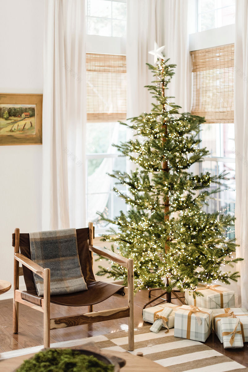 德州温馨传统圣诞家居设计-6