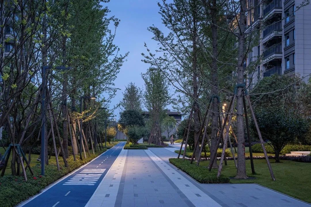 园路列植设计丨上景总工办-8