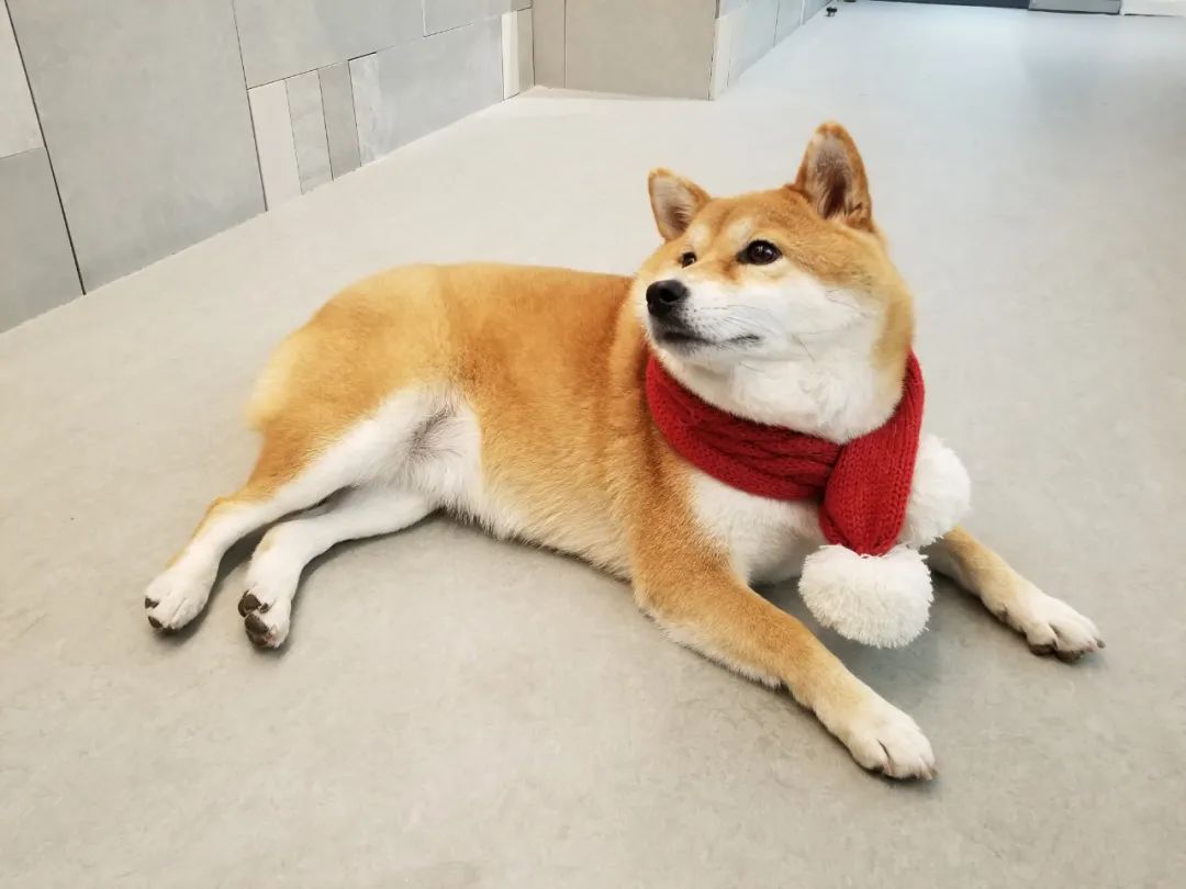 新办公室圣诞慈善派对丨中国上海丨Lukstudio-29