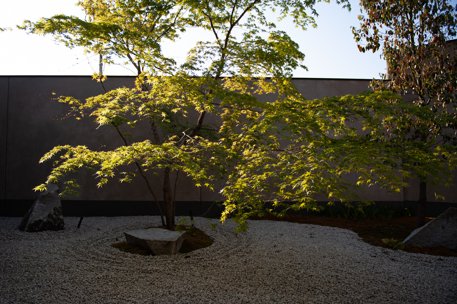 托基托旅馆丨日本东京丨绪方慎一郎,Shinichiro Ogata-22